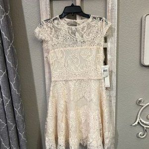 Sz 6 New (NWT) Nordstrom (BB Dakota) Women's Dress: Size 6